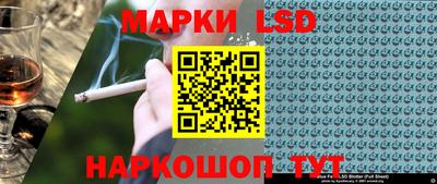 стафф Гатчина