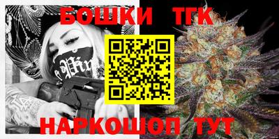 стафф Гатчина
