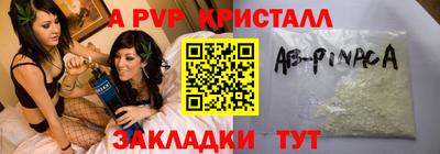стафф Гатчина