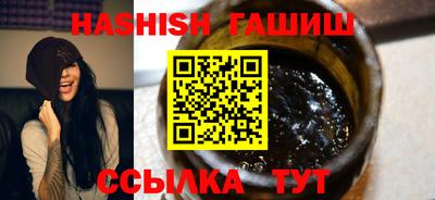 стафф Гатчина