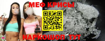 стафф Гатчина