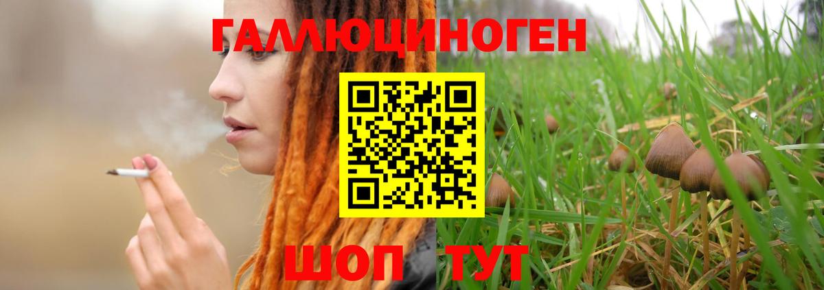 Псилоцибиновые грибы мухоморы Гурьевск